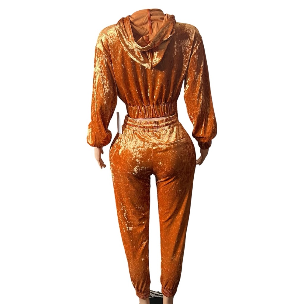 Velvet Gold Pantsuit - Picture 7 of 7